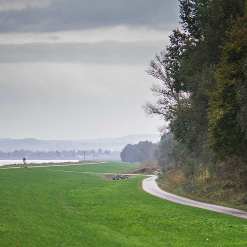 three friends longboarding the Danube cycling path